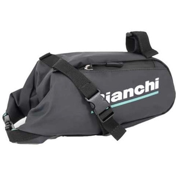 サドルバッグラージ BIANCHI