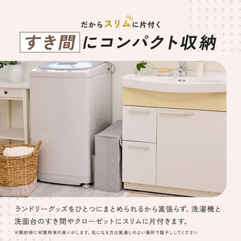 注文コード:04959968 Snimu.ハンガー収納ボックス - アイメディア