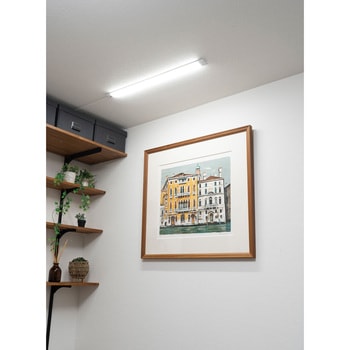 注文コード:05023406 LED多目的灯 リモコン60cm 昼光色 - ELPA