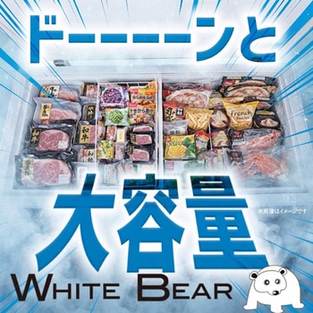 注文コード:05044528 冷凍ストッカー 大型冷凍庫 250L - SIS