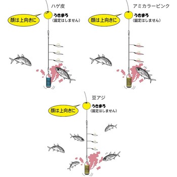 注文コード:05097071,05097177,05097807,05097990,05098227,05098322,05098349,05098410,05098577,05098717,05098821,05099128 うきまろサビキ GOGO! - がまかつ Gamakatsu