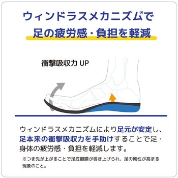 注文コード:05099478,05099496,05099521 疲労軽減 インソール 「楽クック楽」 - YAMAZEN(山善)