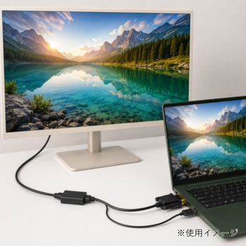 注文コード:05135318 VGA-HDMI変換アダプター - SELECTED BY MARINTEC