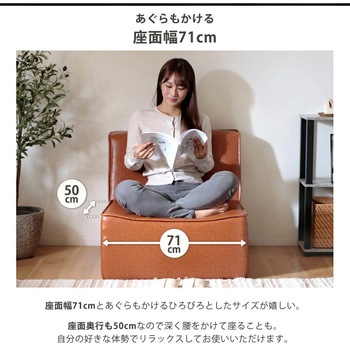注文コード:05666119 ヴィンテージモダンソファー - セルタン