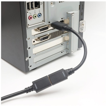 注文コード:05668962 映像変換アダプタ DisplayPort→HDMI変換アダプタ 10cm DisplayPortオス-HDMIメス - ホーリック