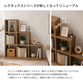 注文コード:05721857 レクタックス2 ベーシック2x3 - AIS (エイ・アイ・エス)