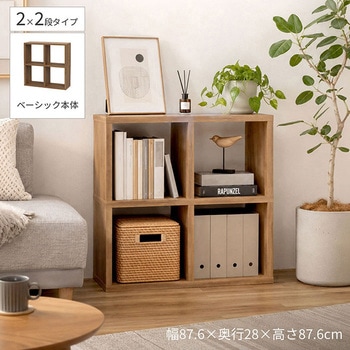 注文コード:05721866 レクタックス2 ベーシック2x2 - AIS (エイ・アイ・エス)