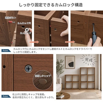 注文コード:05721866 レクタックス2 ベーシック2x2 - AIS (エイ・アイ・エス)