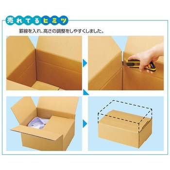 注文コード:05729058,05729286,05729146,05729137,05729022,05728900,05729250,05728918,05728979,05728952,05729092,05729049,05728891,05729259,05728961,05728997 ダンボールケース【まとめ買いがお得 30枚】 - ストア・エキスプレス