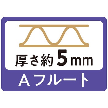 注文コード:05729146,05729049,05728900,05728970,05729022,05728979,05729286,05729067,05728918,05729162,05729259,05729058,05729137,05728952,05728997,05729092,05728961,05729250,05728891,05729180 ダンボールケース【まとめ買いがお得 30枚】 - ストア・エキスプレス