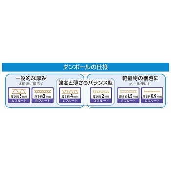 注文コード:05728961,05729022,05729137,05729146,05729049,05729067,05729058,05728900,05728970,05729286,05728891,05729259,05728918,05728979,05728952,05728997,05729162,05729250,05729180,05729092 ダンボールケース【まとめ買いがお得 30枚】 - ストア・エキスプレス