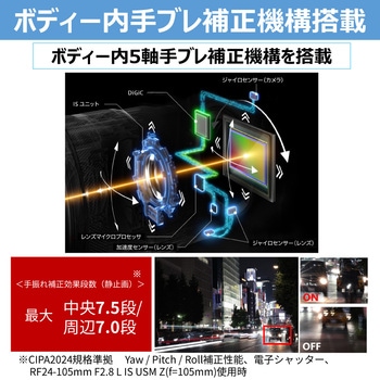 注文コード:05802366,05802382,05802357 ミラーレス一眼 EOS R8 Mark II - Canon