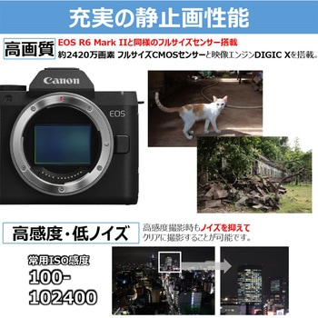 注文コード:05802357,05802382,05802366 ミラーレス一眼 EOS R8 Mark II - Canon