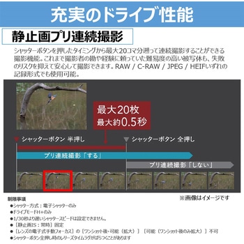 注文コード:05802357,05802366,05802382 ミラーレス一眼 EOS R8 Mark II - Canon