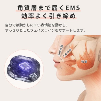 注文コード:05824949 ANLAN EMSフェイスベルト - ANLAN
