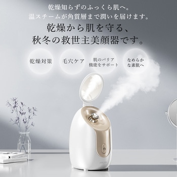 注文コード:05824958 ANLAN フェイススチーマー - ANLAN