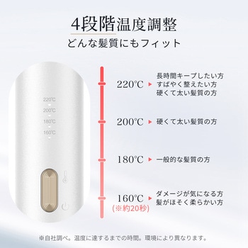 注文コード:05824992 ANLAN オールカールアイロン - ANLAN