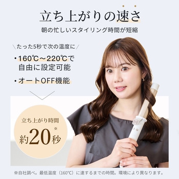 注文コード:05824992 ANLAN オールカールアイロン - ANLAN