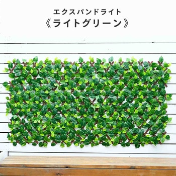 注文コード:06089628,06089637 グリーンフェンス 伸縮型 エクスパンドライト リーフラティス - YAMAZEN(山善)