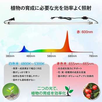 注文コード:06090030 植物育成用 直管型LEDライト 連結可能 - GOODGOODS(グッド・グッズ)