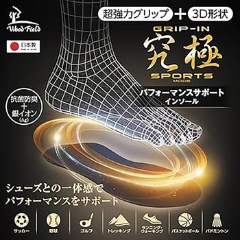 注文コード:06093390,06093417,06093442 インソール グリップイン 究極 パフォーマンスサポート - 木原産業