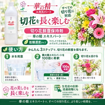 注文コード:06097617 華の精 エキスパート - パレス化学