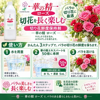 注文コード:06097687 華の精 ローズ - パレス化学