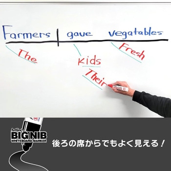 注文コード:06100688,06100792,06100451,06099961 アートライン ホワイトボードマーカー 極太 角10 - シヤチハタ