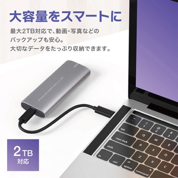 注文コード:06115406 M.2 SSD ポータブルケース アルミニウム グレー NVMe USB3.1 Type-C 10Gbps 2TB対応 工具不要 Windows Mac - トライメイト
