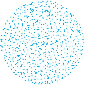 注文コード:06184636,06185772,06186962,06187041,06187287,06189168,06189360,06189588,06190051,06190087,06190236,06190532,06190681,06191268,06191451,06191478 小噴量形充円錐ノズル Jシリーズ ステンレス鋼303製 1/4オス - いけうち
