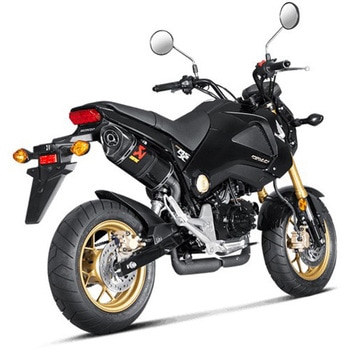 注文コード:06212267 スリップオンライン カーボン JMCA S-H125SO1-HAPCJPP - AKRAPOVIC (アクラポビッチ)