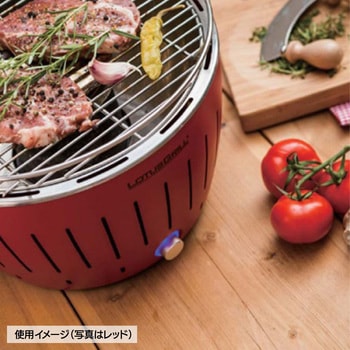 注文コード:06822528,06822431 ロータスグリル - LOTUSGRILL