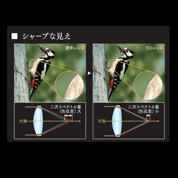 注文コード:06824409 双眼鏡 10x42 PRO - OMデジタルソリューションズ