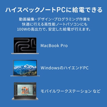 注文コード:06835207 AC充電器 USB PD対応 PD100W - サンワサプライ