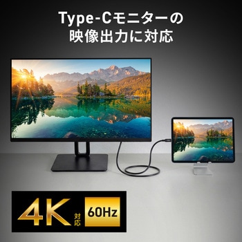 注文コード:06835311 USB TypeCケーブル USB 10Gbps PD100W映像出力対応 - サンワサプライ