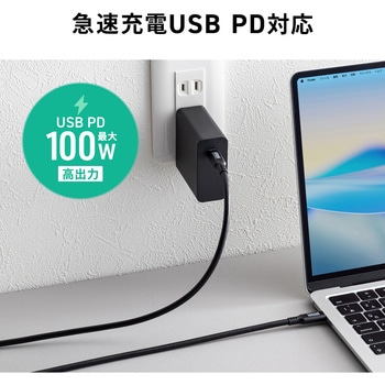 注文コード:06835311 USB TypeCケーブル USB 10Gbps PD100W映像出力対応 - サンワサプライ