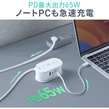 注文コード:06835932 電源タップ モバイルタイプ PD65W対応 - サンワダイレクト