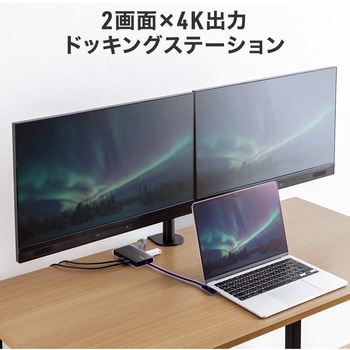 注文コード:06836388 ドッキングステーション USB TypeC - サンワダイレクト