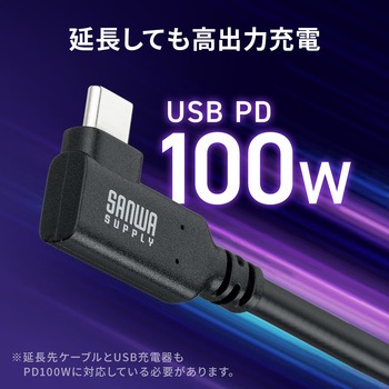 注文コード:06836406 USB TypeC延長ケーブル USB 5Gbps PD100W対応 - サンワダイレクト