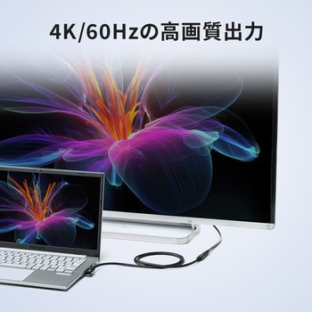 注文コード:06836406 USB TypeC延長ケーブル USB 5Gbps PD100W対応 - サンワダイレクト