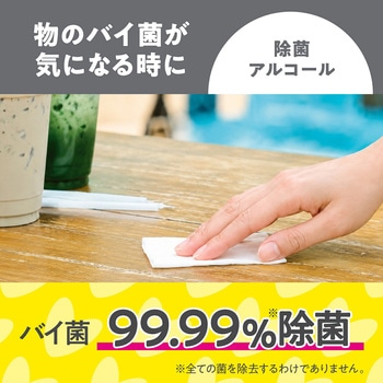 注文コード:06847168 スコッティ SCOTTIE ウェットティッシュ 除菌 アルコールタイプ スヌーピー - 日本製紙クレシア