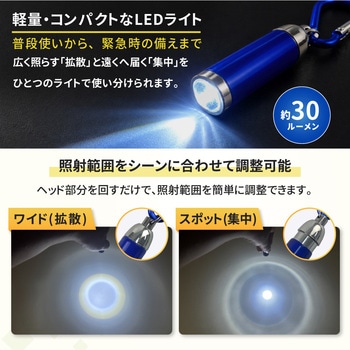 注文コード:06873199,06873181,06873156,06873172,06873208,06873129,06873120,06873007,06873016,06873111,06873242,06873217,06873226,06873190,06873138,06873077,06873147,06873086,06873102,06873068,06873041,06873032,06873059,06873050 カラビナ付き ミニLEDライト カプセル型 - EVERSAFE