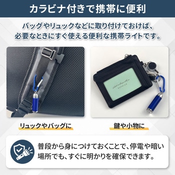 注文コード:06873181,06873102,06873120,06873208,06873007,06873059,06873077,06873190,06873111,06873016,06873050,06873199,06873226,06873041,06873217,06873156,06873032,06873086,06873147,06873138,06873172,06873068,06873129,06873242 カラビナ付き ミニLEDライト カプセル型 - EVERSAFE