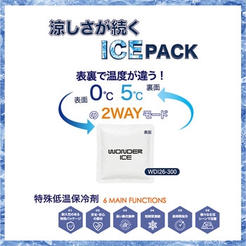注文コード:06874398 ワンダーアイス WONDER ICE 特殊低温保冷剤 300g - ナガセテクノサービス