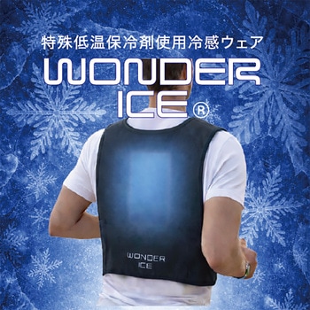 注文コード:06874398 ワンダーアイス WONDER ICE 特殊低温保冷剤 300g - ナガセテクノサービス