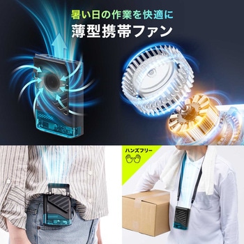 注文コード:06876008 ウエストファン リン酸鉄リチウムイオン電池 充電式 - サンワダイレクト