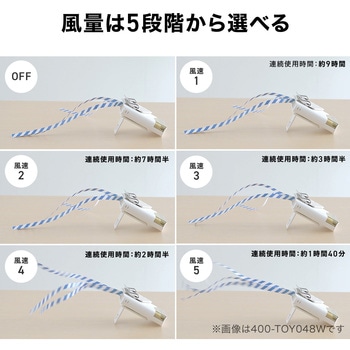 注文コード:06876008 ウエストファン リン酸鉄リチウムイオン電池 充電式 - サンワダイレクト