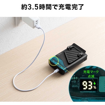 注文コード:06876008 ウエストファン リン酸鉄リチウムイオン電池 充電式 - サンワダイレクト