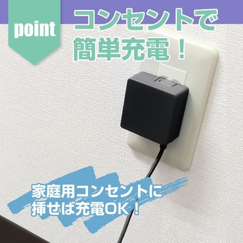 注文コード:07028127 SFC/FC用ACアダプタ ブラック - ALLONE