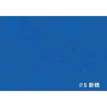 注文コード:08001237 T ネオカラー ターナー色彩